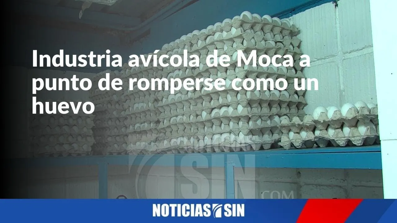 Industria avícola de Moca en crisis