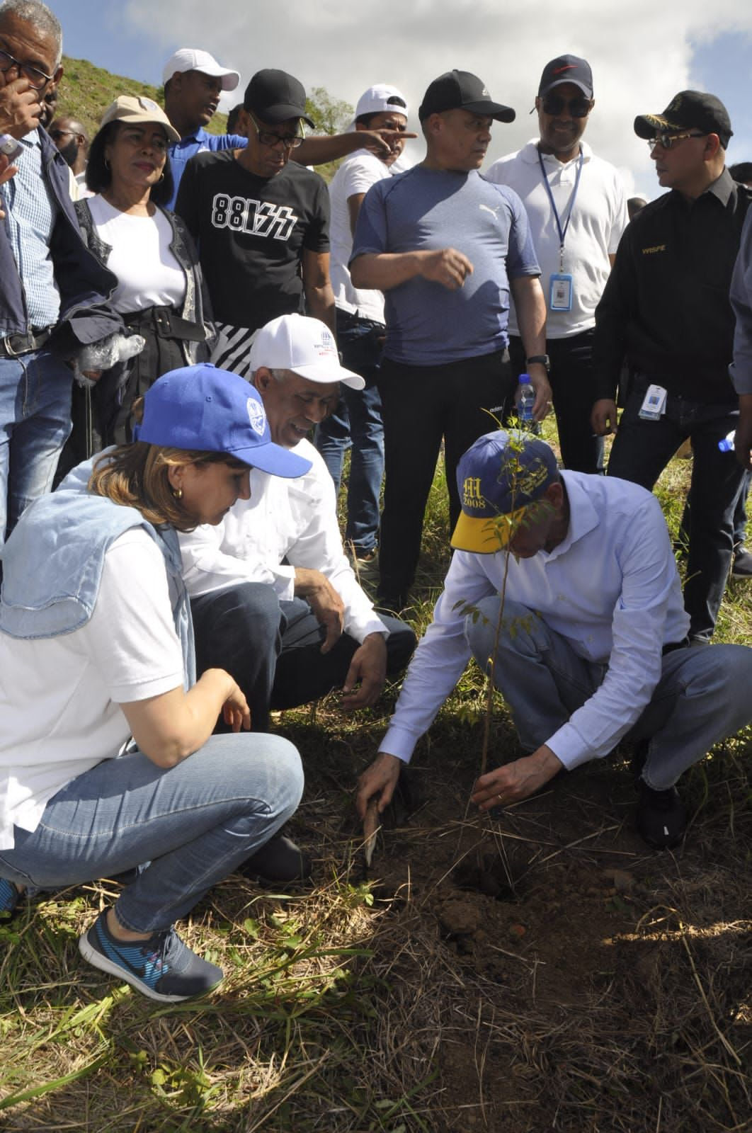 Gobierno Inicia Plan Nacional De Reforestaci N Con La Siembra De Mil