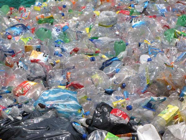 Alerta!! Sustancia usada en envases plásticos puede causar cáncer