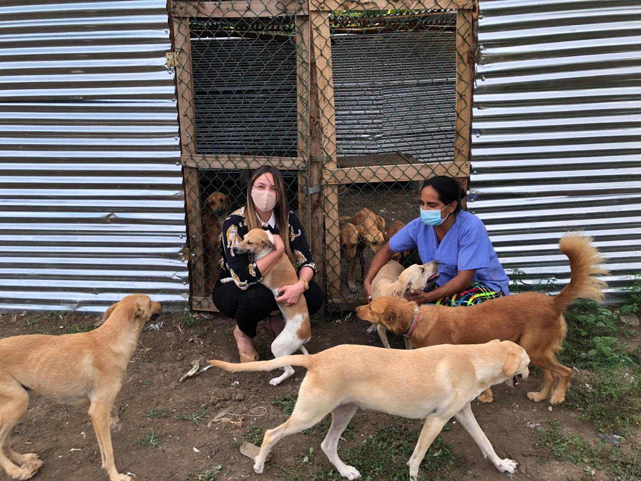 Hony Estrella se suma a favor de refugio para animales rescatados
