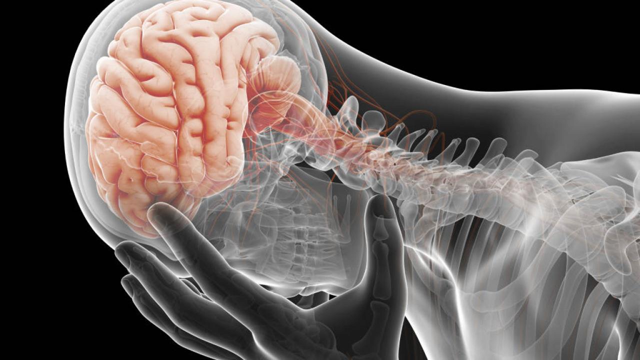 ¿Qué ocurre en un cerebro con depresión?