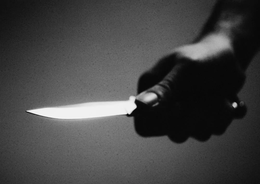 Arrestan 200 dominicanos y 211 extranjeros por cometer infracciones ambientales