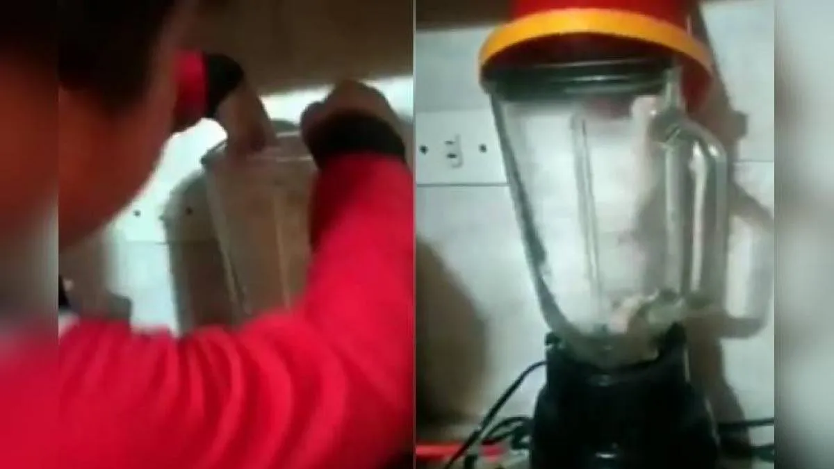 Una madre encuentra a su hijo a punto de licuar a su gato