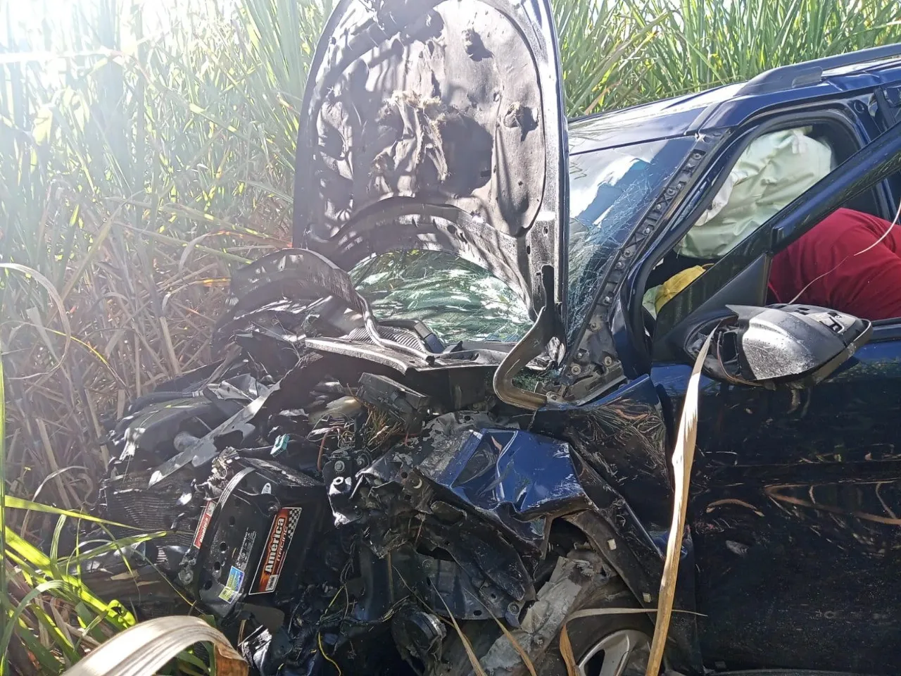 Nochebuena y Navidad terminan con un saldo de 14 muertos y cientos de intoxicados
