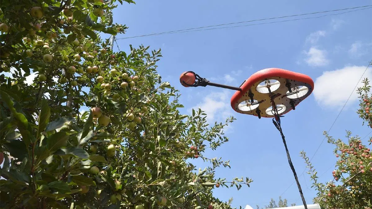 Drones cosechan manzanas eligiendo automáticamente las que estén maduras