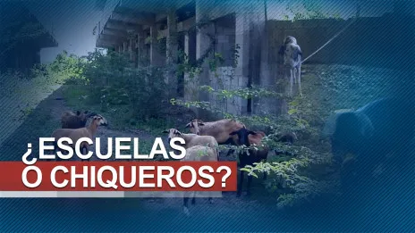La Perspectiva: ¿Escuelas o chiqueros?
