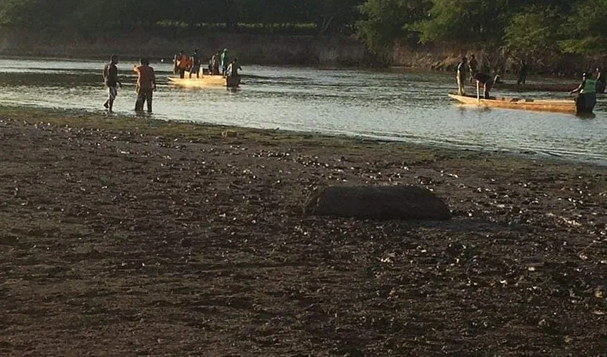 Al menos 14 ahogados durante un bautizo en un río en Sudáfrica