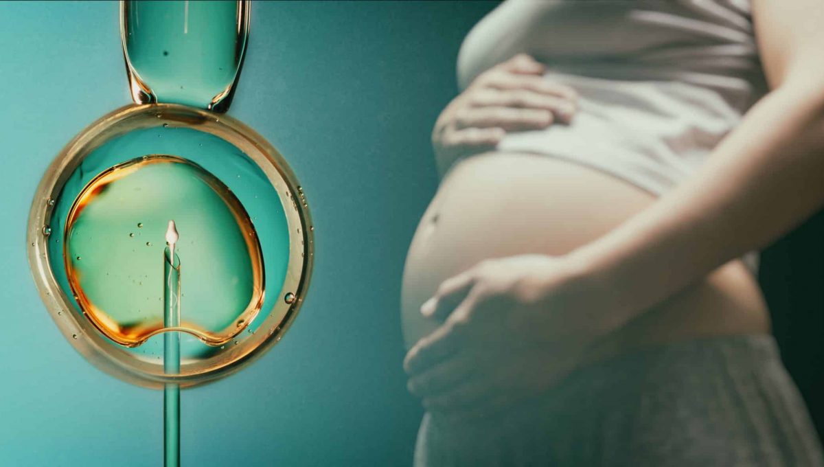 Doctora explica que es fertilización in vitro