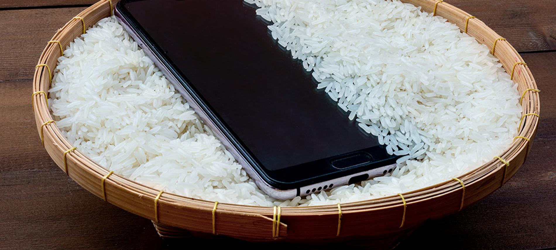 ¿Cómo reparar un celular cuando cae al agua sin gastar dinero?