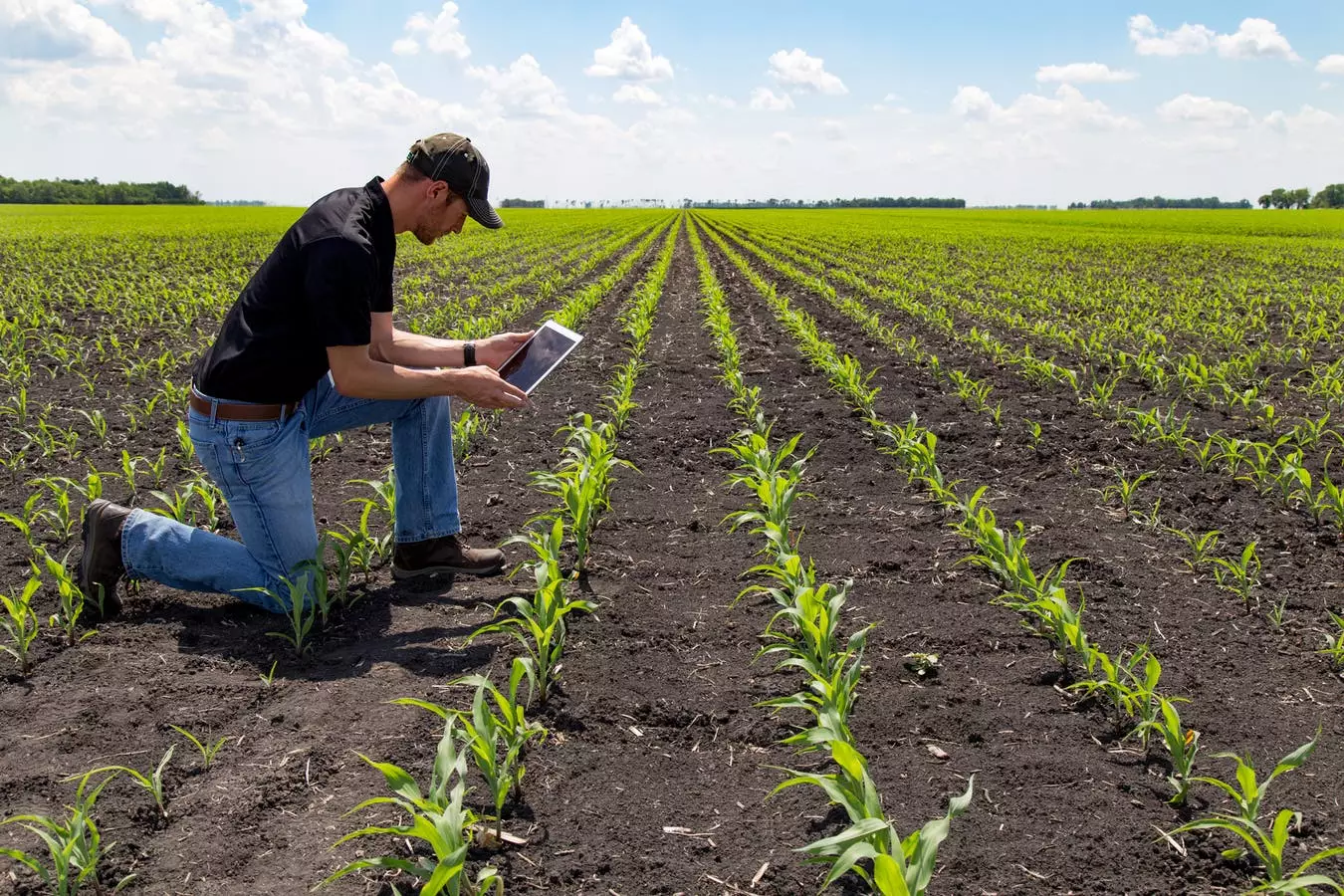 Expertos piden a Latinoamérica más inversión tecnológica para agricultura