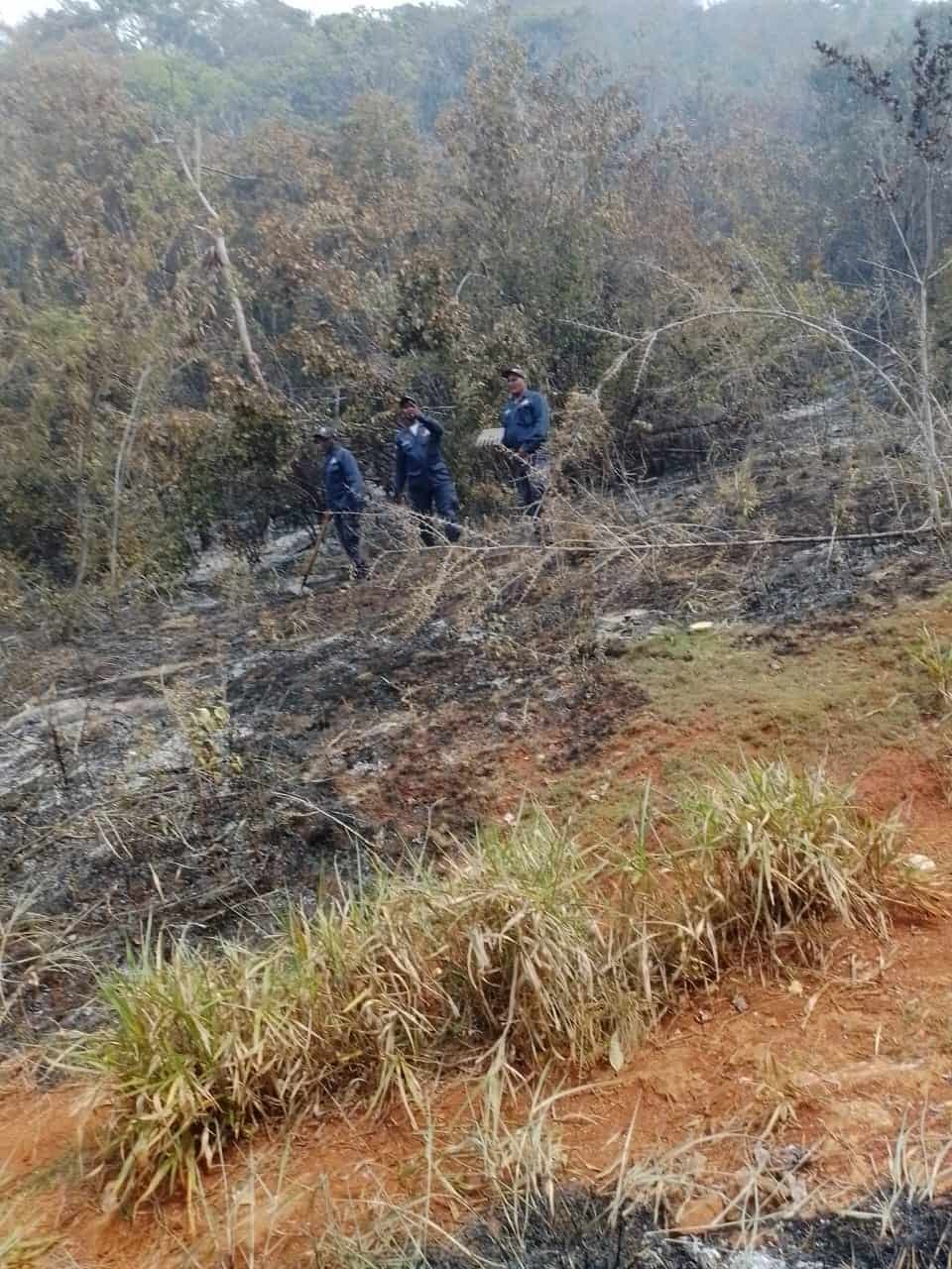Cabo Cabrón y Cabo Samaná afectados por  incendios forestales