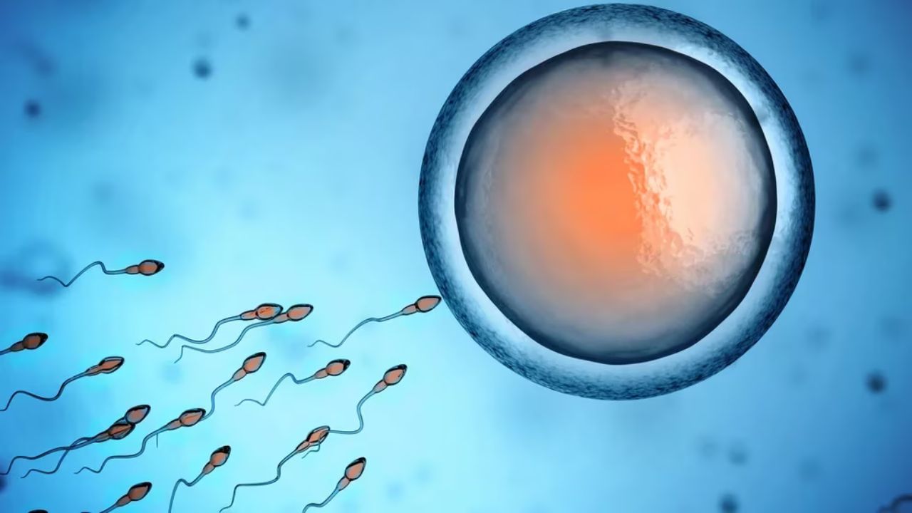 Nace primer bebé del mundo concebido con un nuevo método de fertilidad desarrollado por científicos argentinos