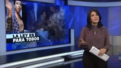 La Perspectiva: La ley es para todos