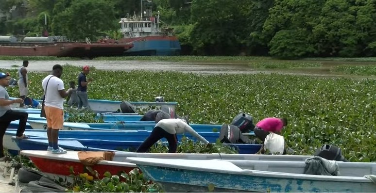 Lilas y basura afecta pesca en el Ozama