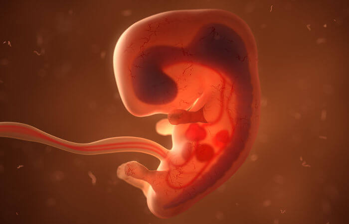Un juez bloquea la ley que veta la mayoría de abortos en Iowa a partir de las seis semanas