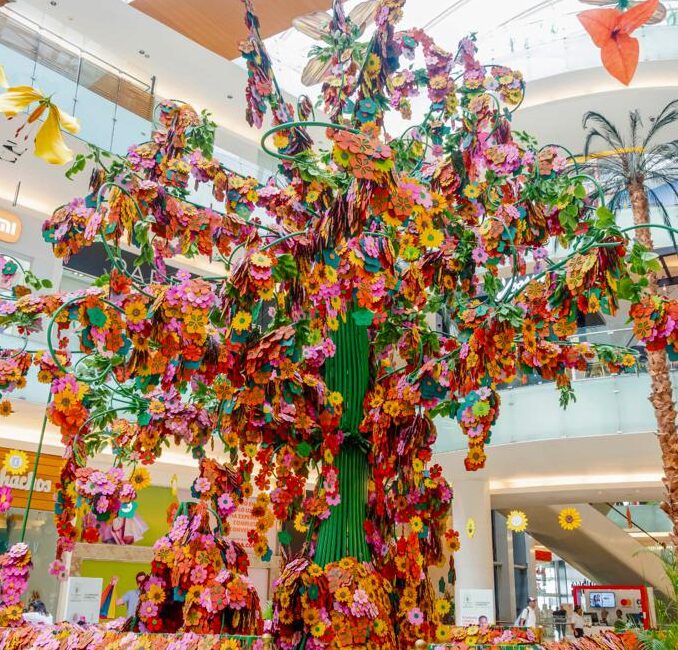 Fundaciones del Árbol de la Esperanza superan los objetivos de recaudación e impactará a más de 20 mil ciudadanos