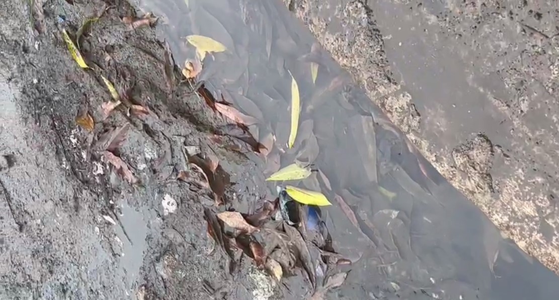 Denuncian cúmulo de aguas negras en el sector Lucerna