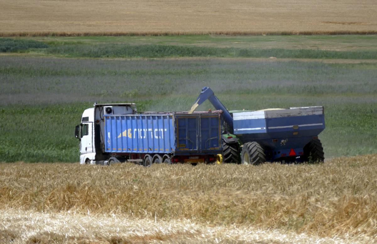 Zelenski pide “incrementar la presión” sobre Rusia para garantizar la exportación de grano