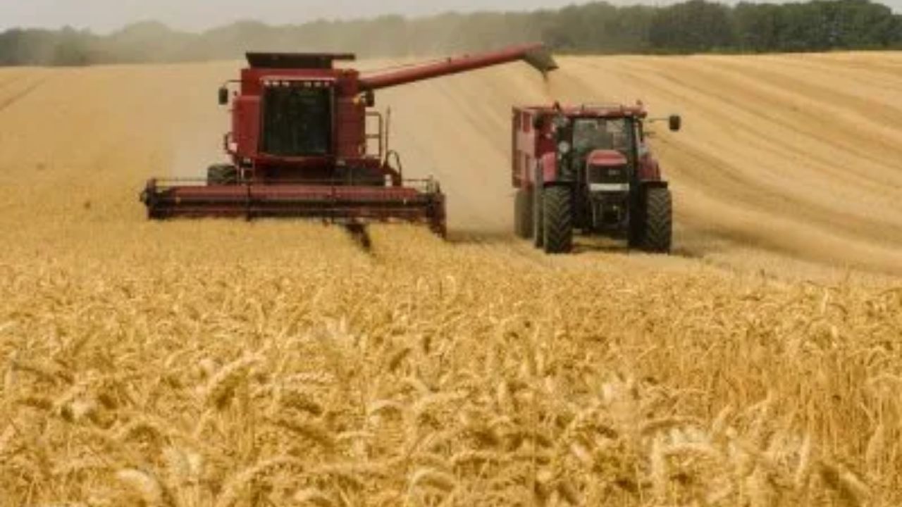 Rusia incrementa un 60 % sus exportaciones en julio tras renunciar a los acuerdo de grano