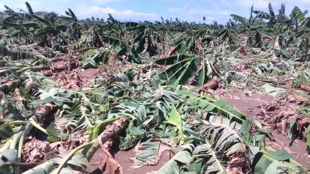 Franklin no dejó daños significativos en el sector agrícola, dice Fernando Durán