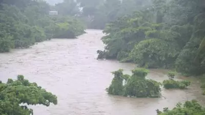 Buscan joven que se lanzó al río Nigua