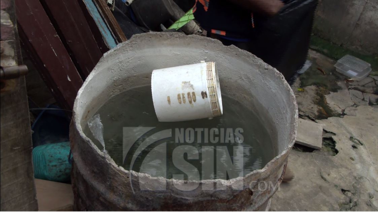 Arrecian operativos contra el dengue en barrios