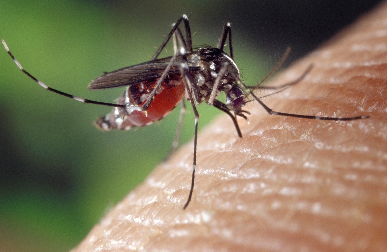 MSP registra 5,145 casos probables de dengue