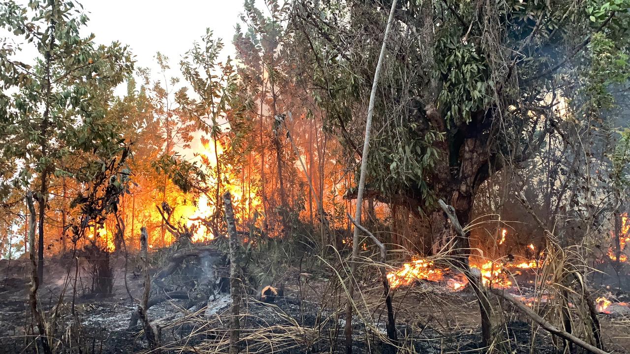 Bomberos forestales controlan incendio en área recreativa de La Vega
