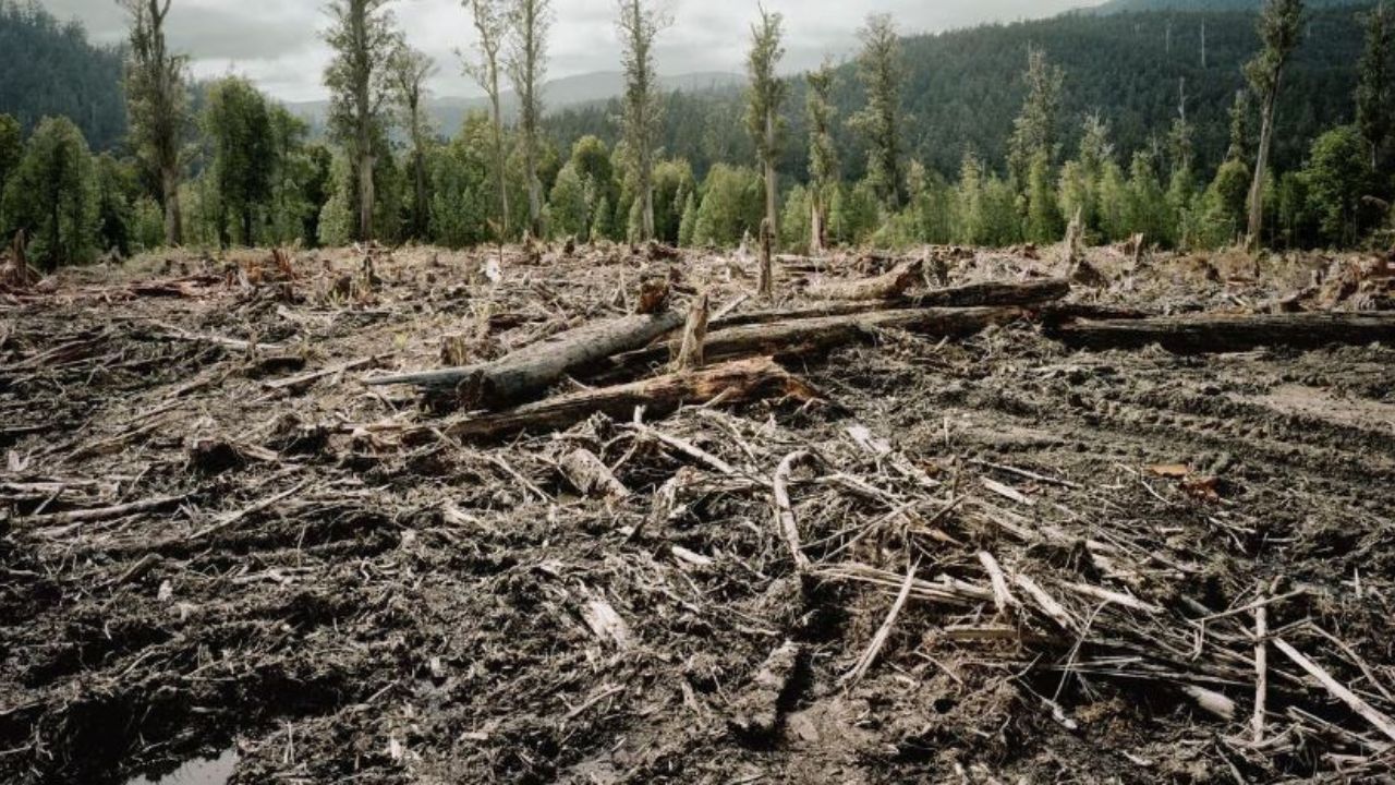 "Abrimos las puertas del infierno", dice Guterres en la cumbre del clima en la ONU