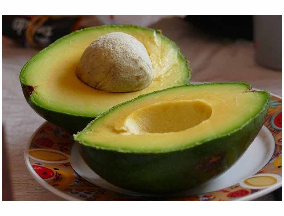 Venezuela exportará aguacate y café a China como parte de un acuerdo bilateral