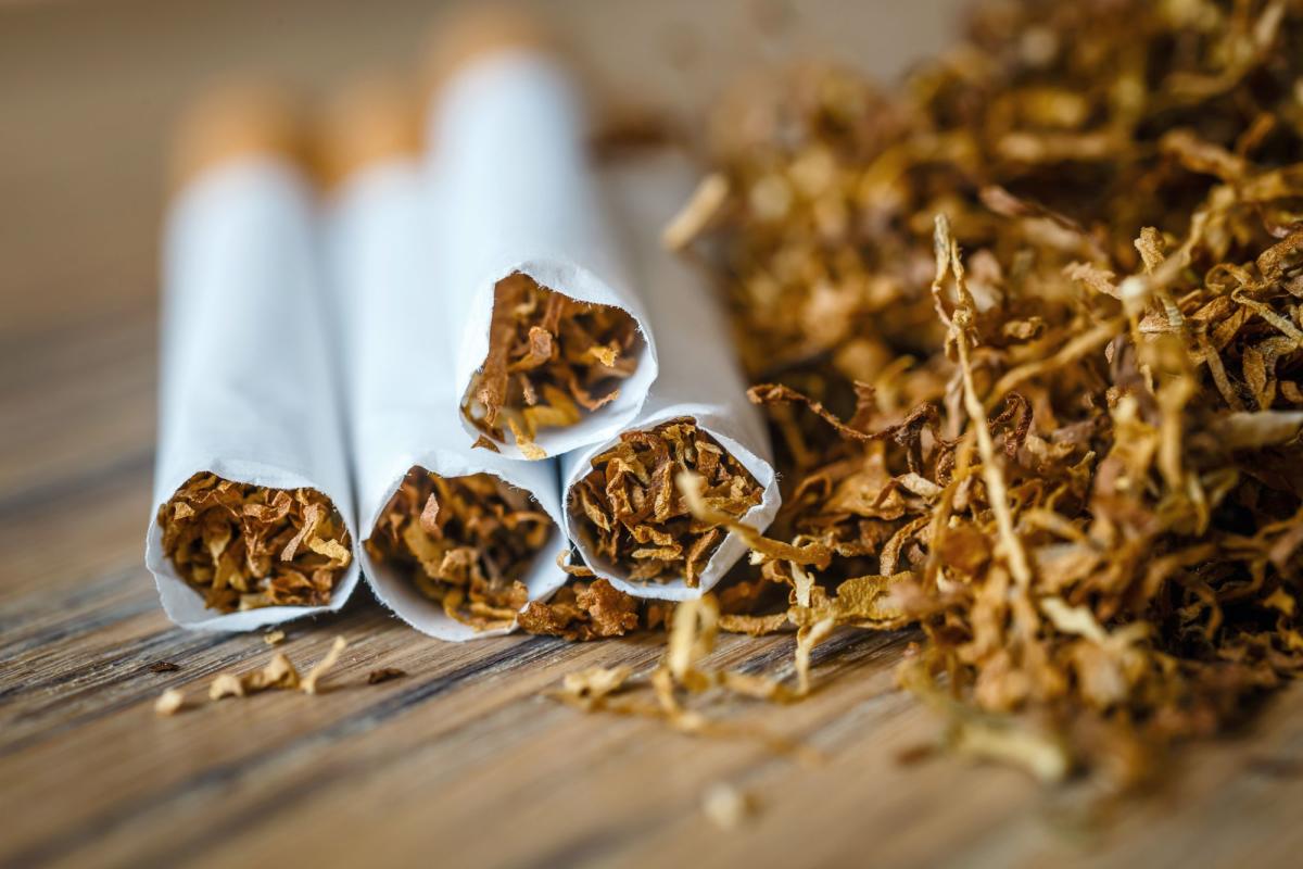 Anciana de 83 años custodiaba 400 kilos de tabaco