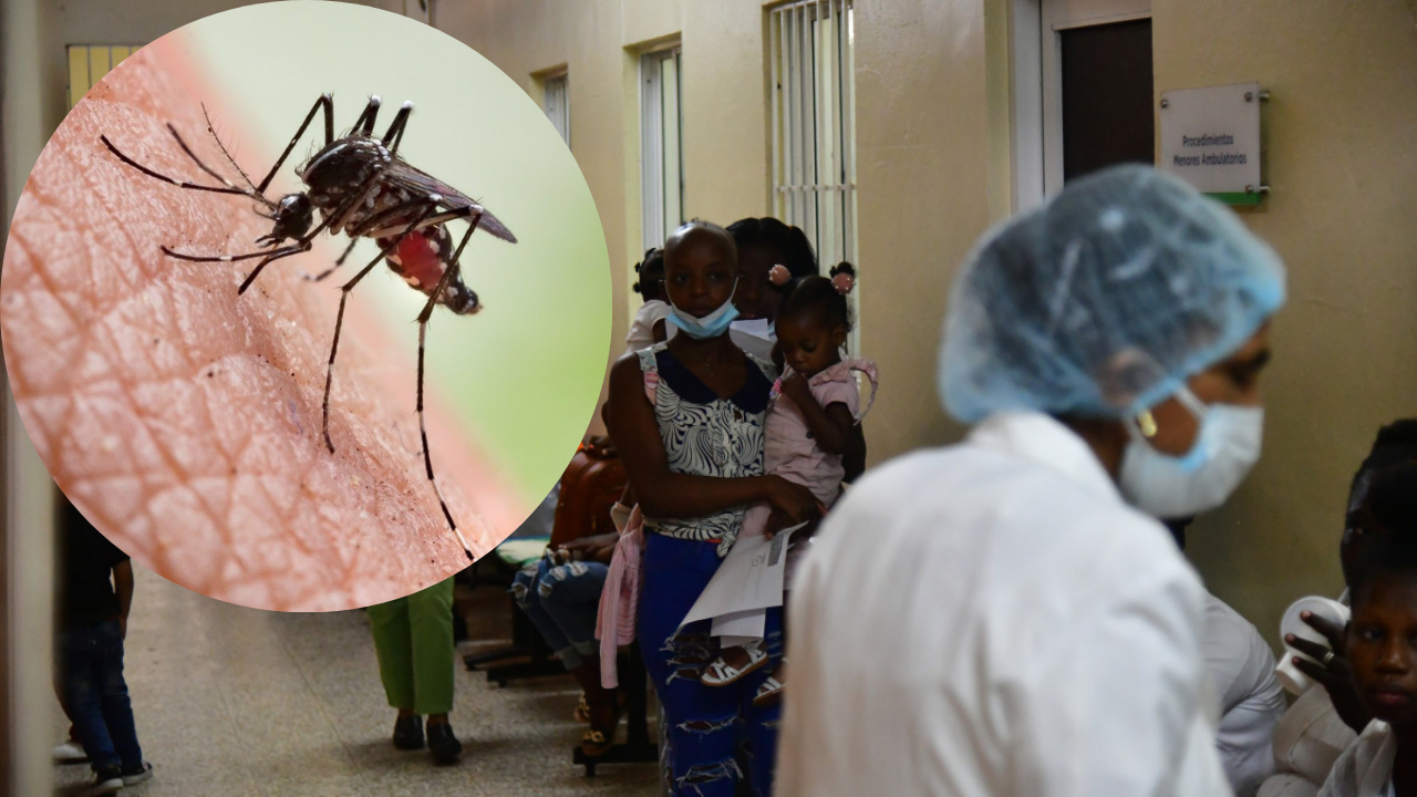 Intervendrán varias provincias por brote de dengue