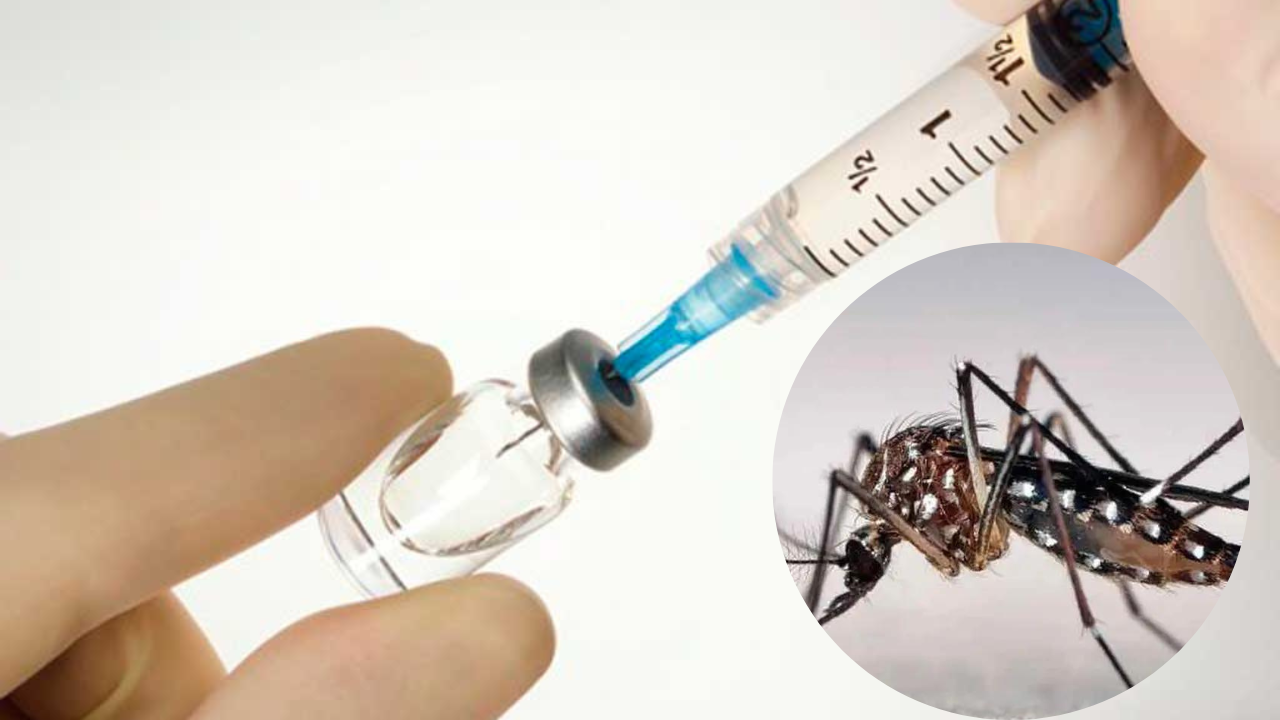 MSP espera opinión de OPS sobre vacuna anti-dengue