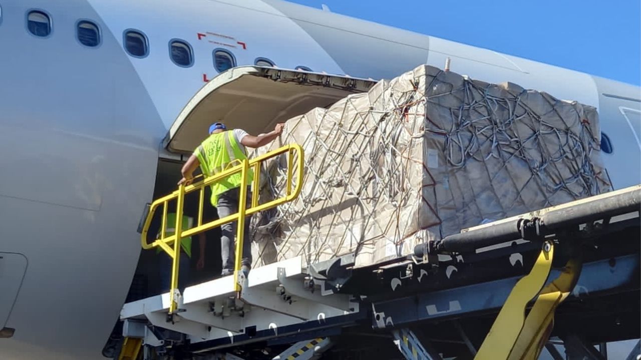 Rusia envía ayuda humanitaria a la Franja de Gaza a través de Egipto