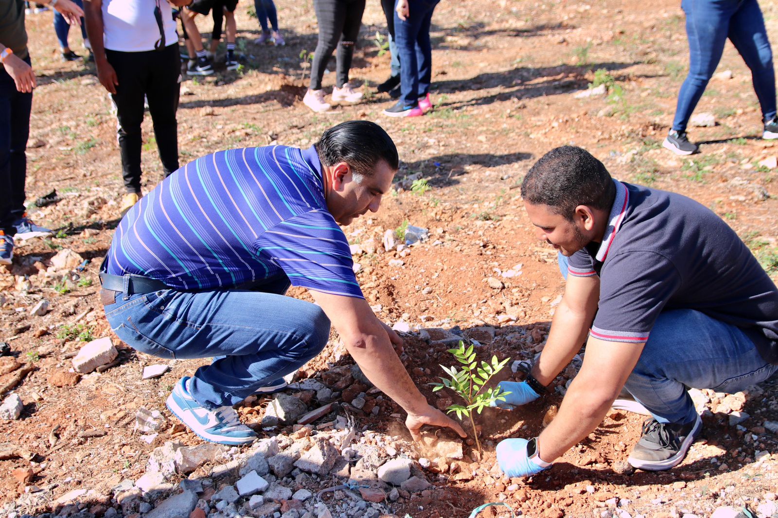 Luis Alberto dice trabajará por un SDE verde; realiza jornada de reforestación