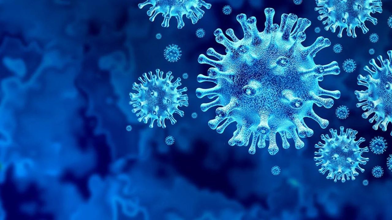 OMS dice los niveles de gripe ya son los mismos que antes de la pandemia