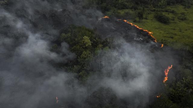 Incendios forestales en la Amazonía brasileña suben un 52,3 % con la actual sequía