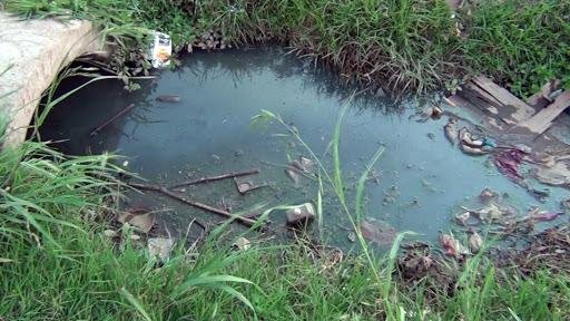Exhortan a la población evitar contacto con aguas estancadas para evitar leptospirosis