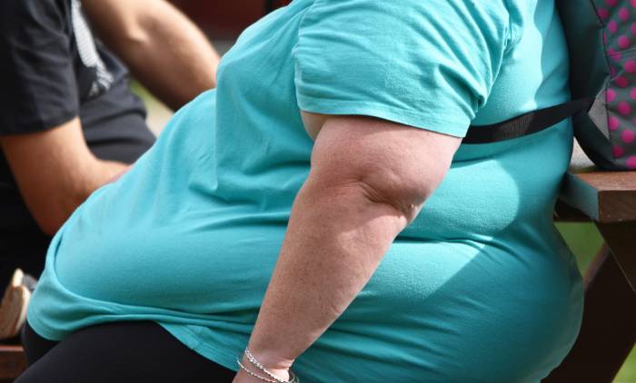 La obesidad podría no ser el único vínculo entre los ultraprocesados y ciertos cánceres