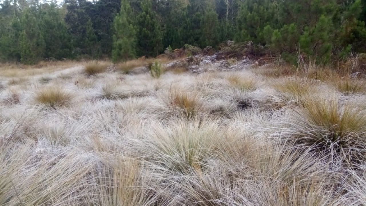 Valle Nuevo en Constanza, vuelve a registrar temperaturas bajo 0