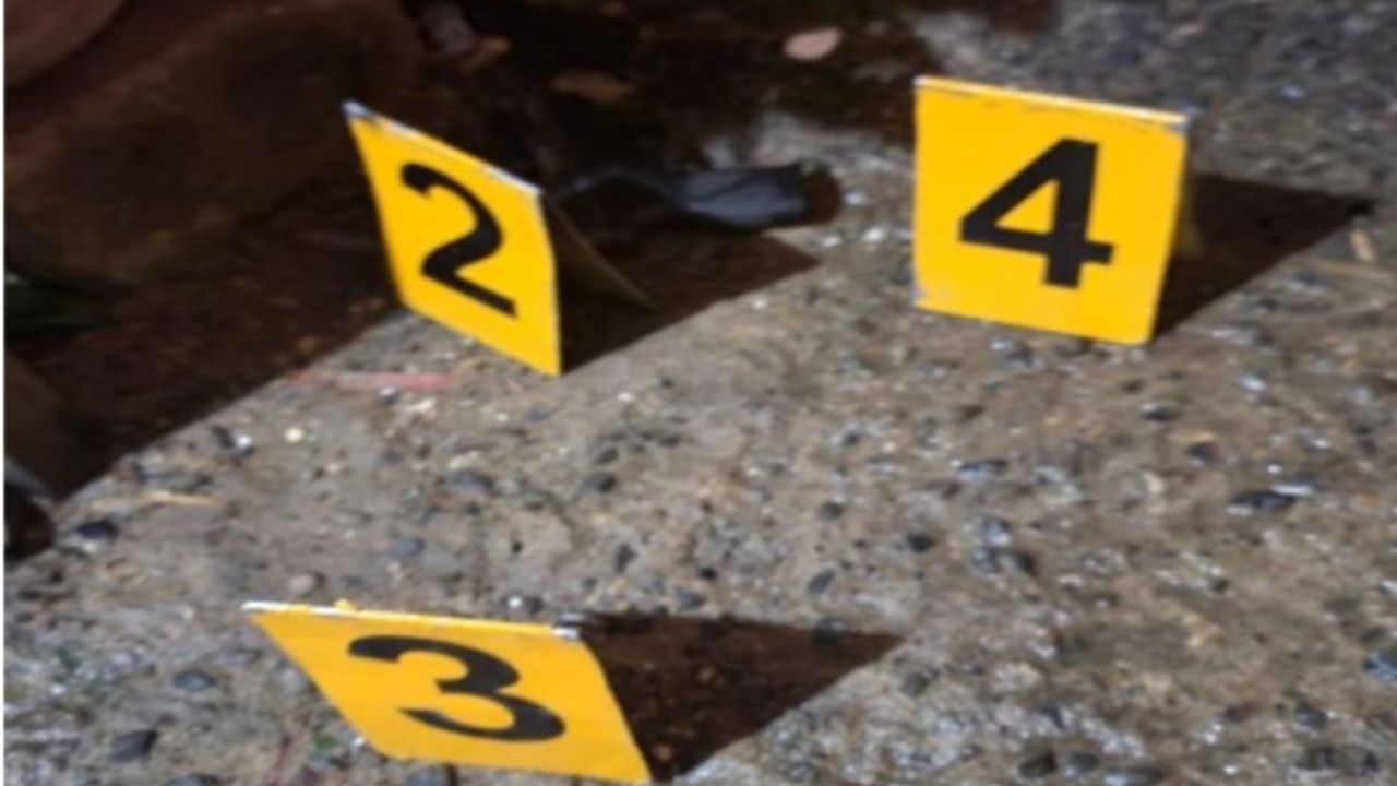 Antisocial resulta muerto tras atacar a tiros patrulla policial en Santiago
