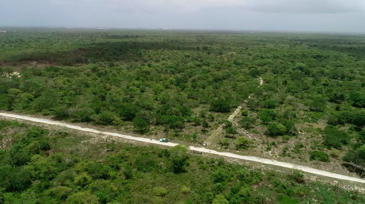 Abinader derroga decreto de Aeropuerto Internacional de Bávaro