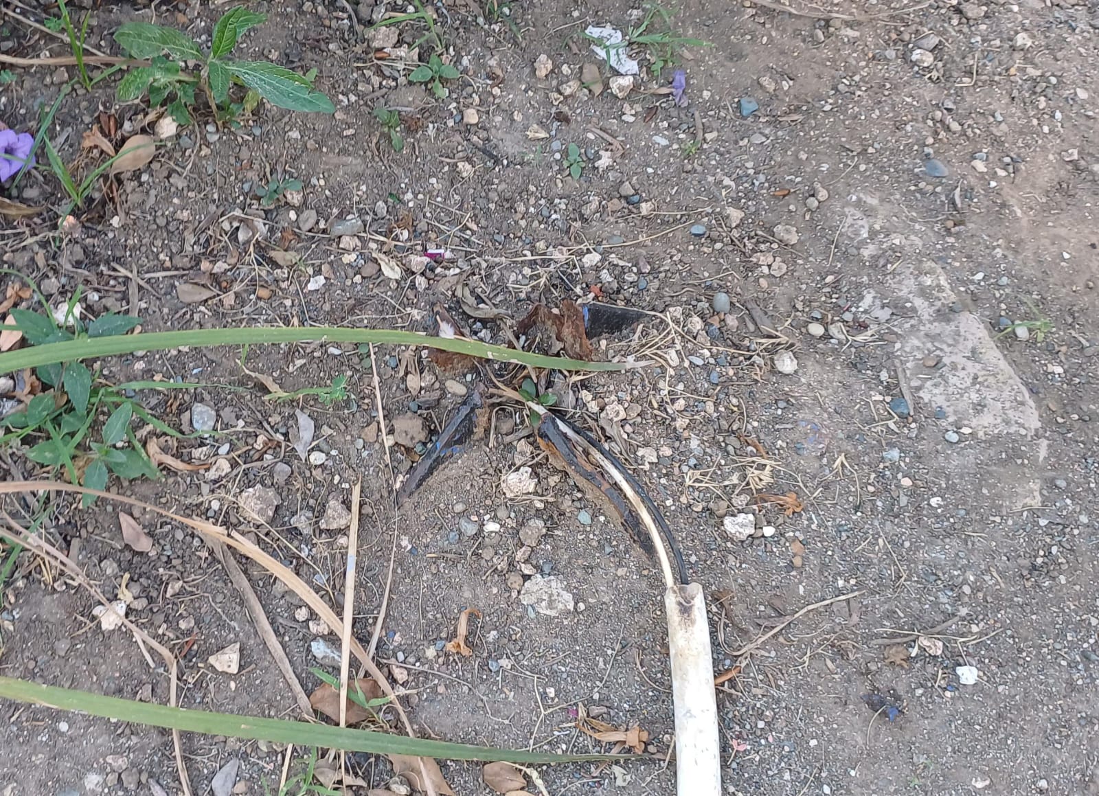 Denuncian delincuentes han robado dos veces luces del parque Cruz Jiminián en Cristo Rey