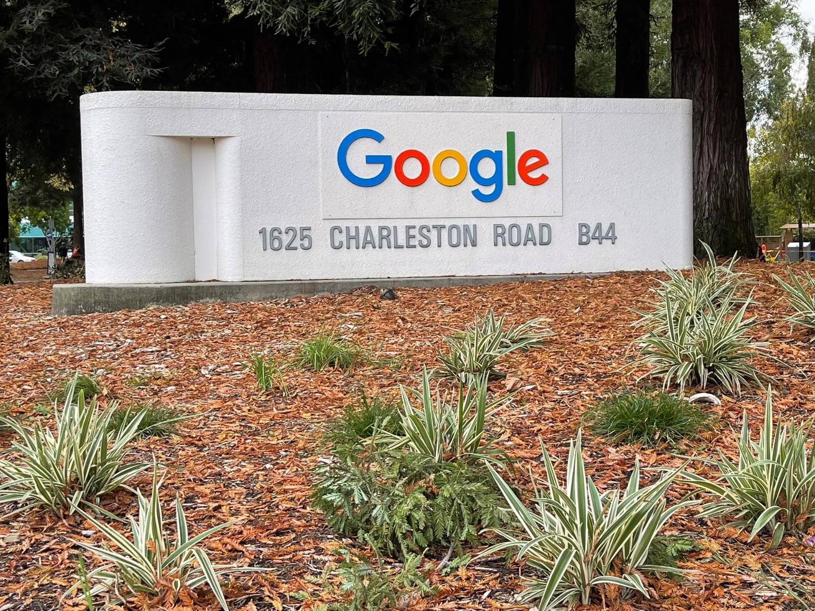 SIP y Google anuncian medios suramericanos seleccionados para transformación digital