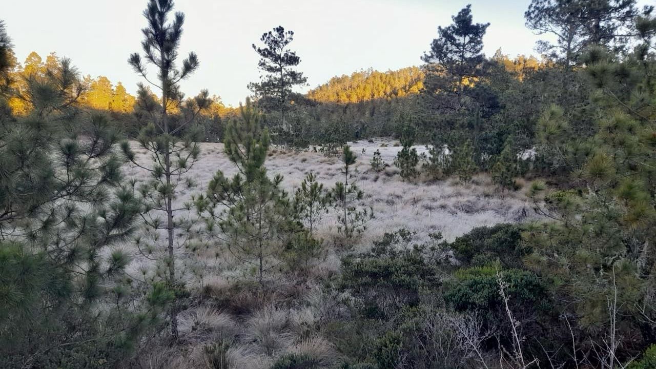 Retornan las bajas temperaturas a Valle Nuevo