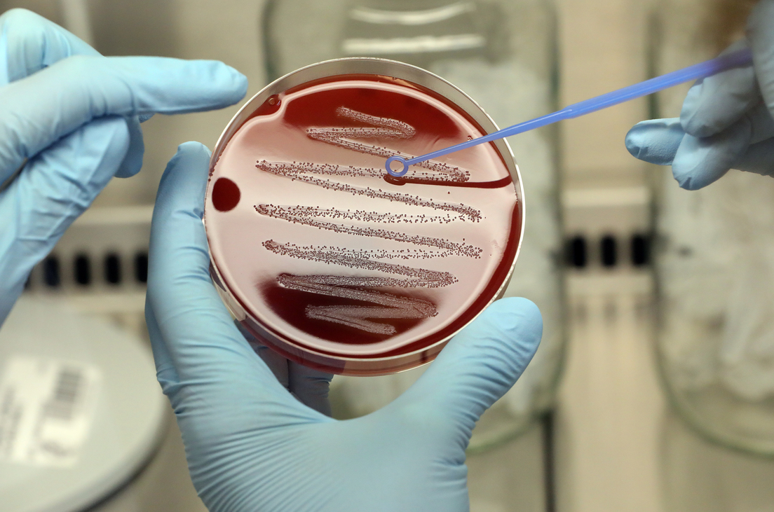 Bacteria carnívora mortal se propaga a un ritmo récord 