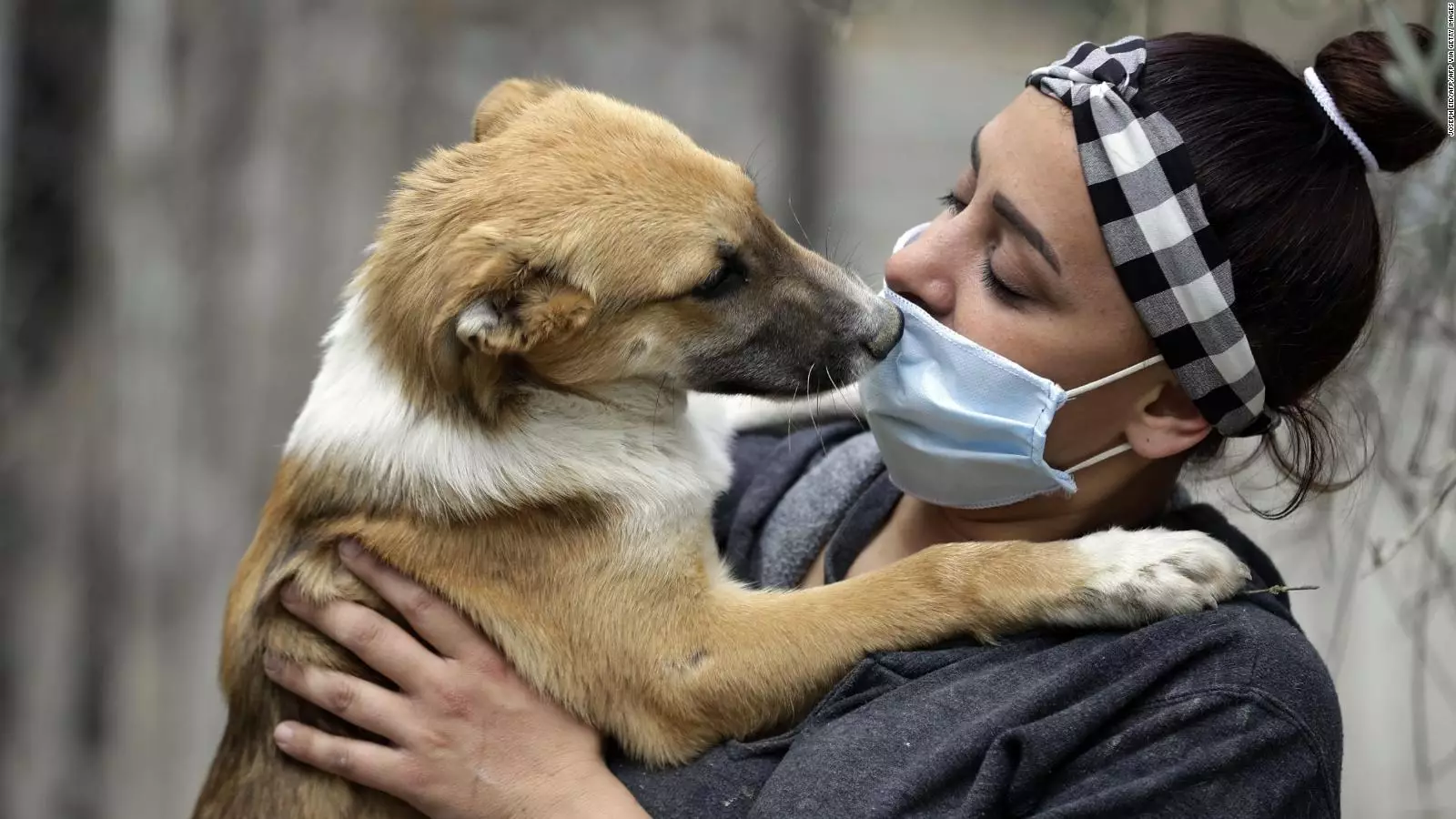 Los humanos transmiten más virus a los animales que al contrario, según  estudio