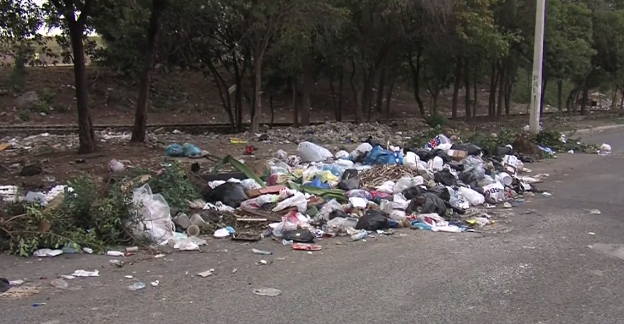 Exigen recogida de basura en Los Mameyes
