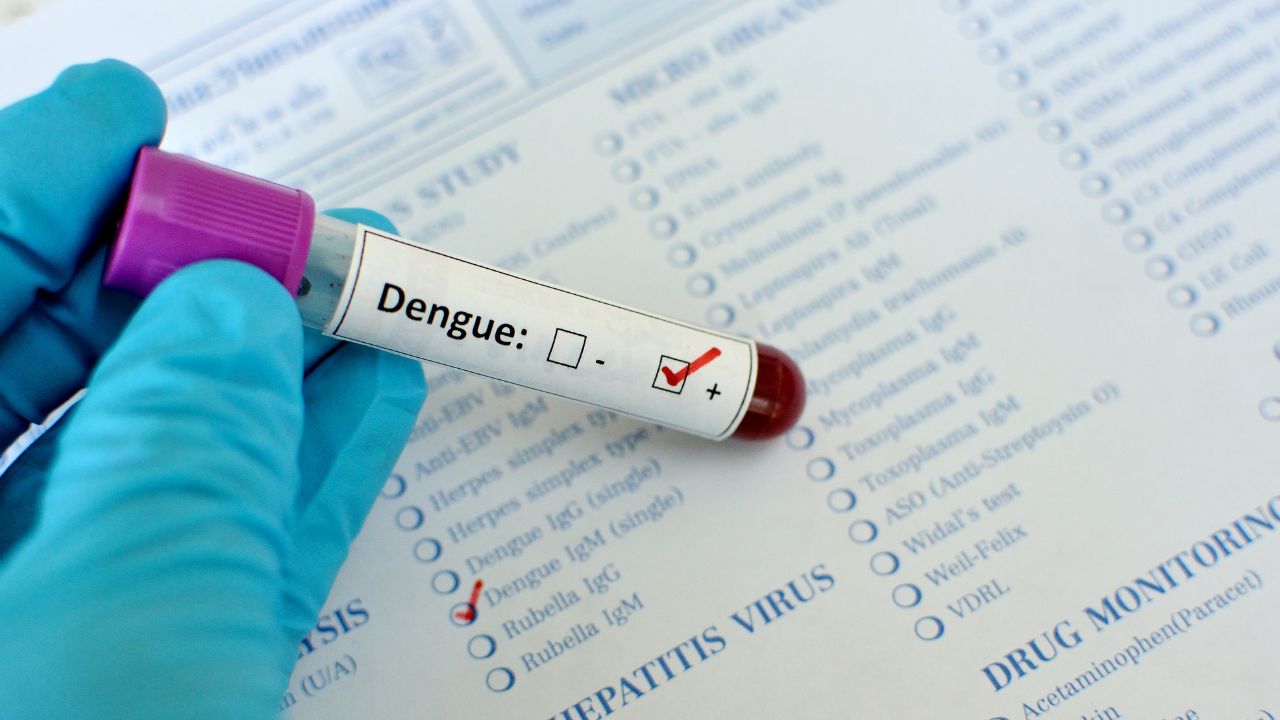 Cuánto duran los anticuerpos del dengue: ¿puedo volver a contagiarme pronto si ya tuve la infección?