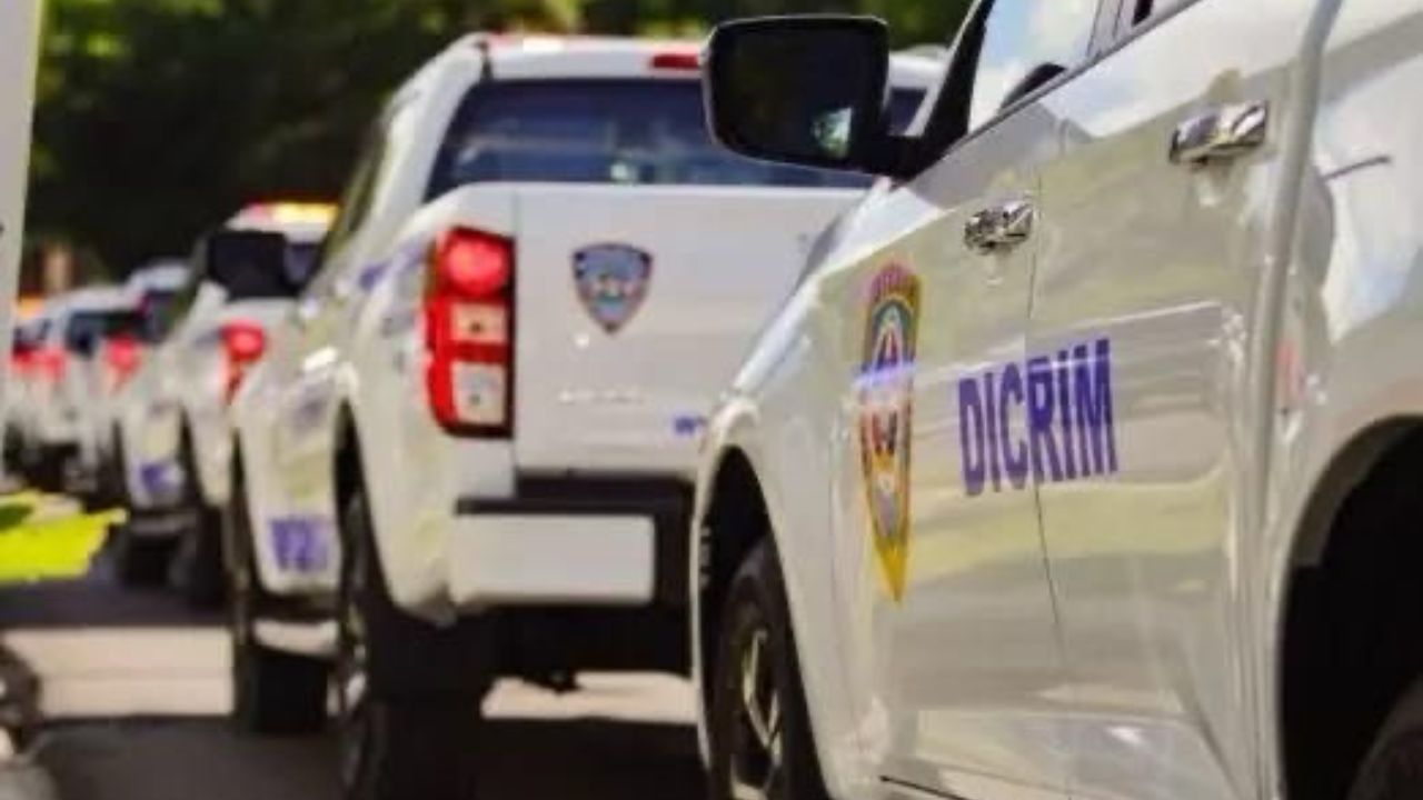 Desmantelan banda de asaltantes que cometían fechorías en Santo Domingo